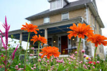 2026 YALE DAY OF SERVICE - BLISS MEADOWS